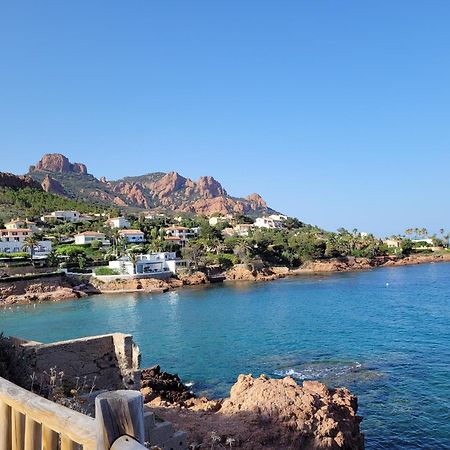 Studio Agay A 2 Pas Des Plages Сен-Рафаэль Экстерьер фото